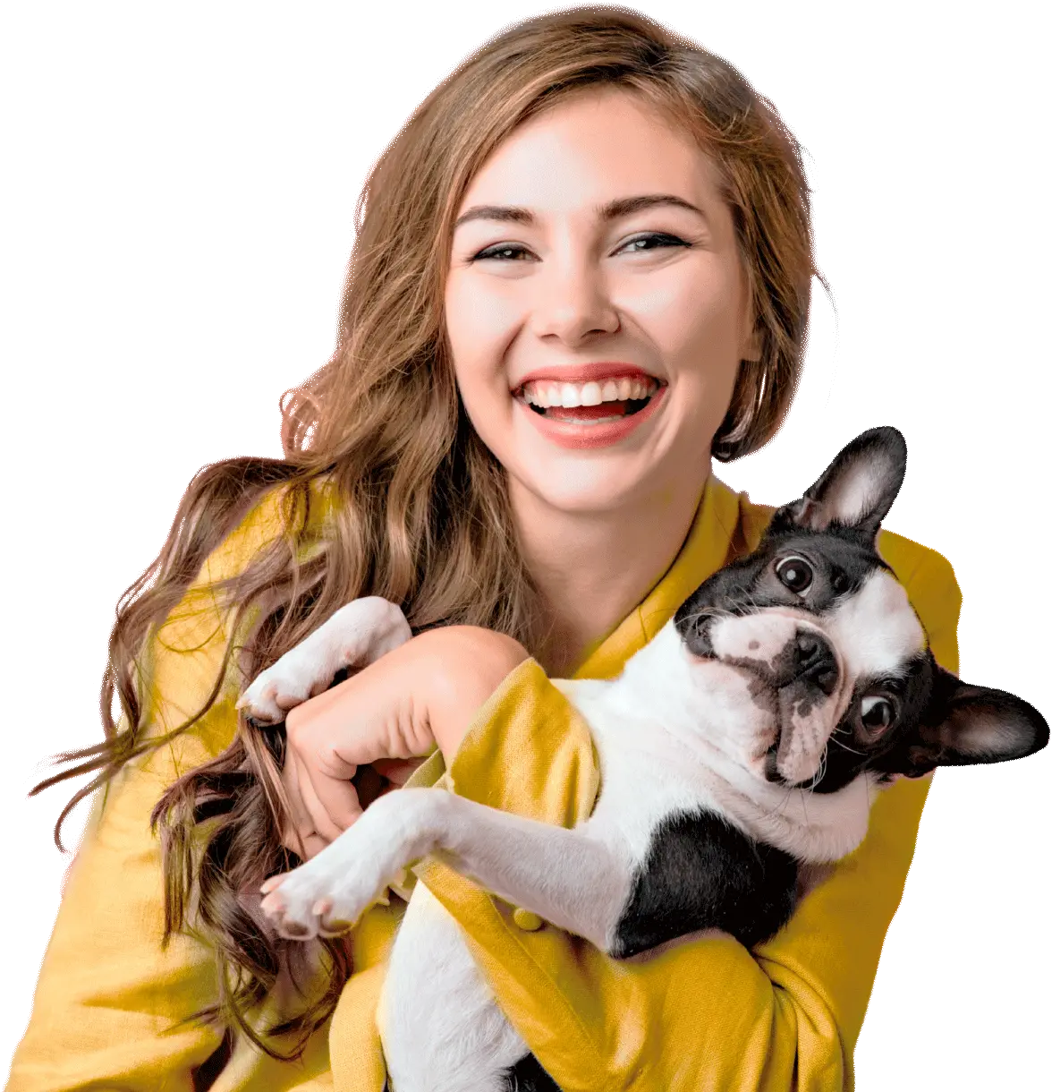 Clínica veterinária Pavan paes | Clínica veterinaria Limeira, oftalmologista veterinaria limeira