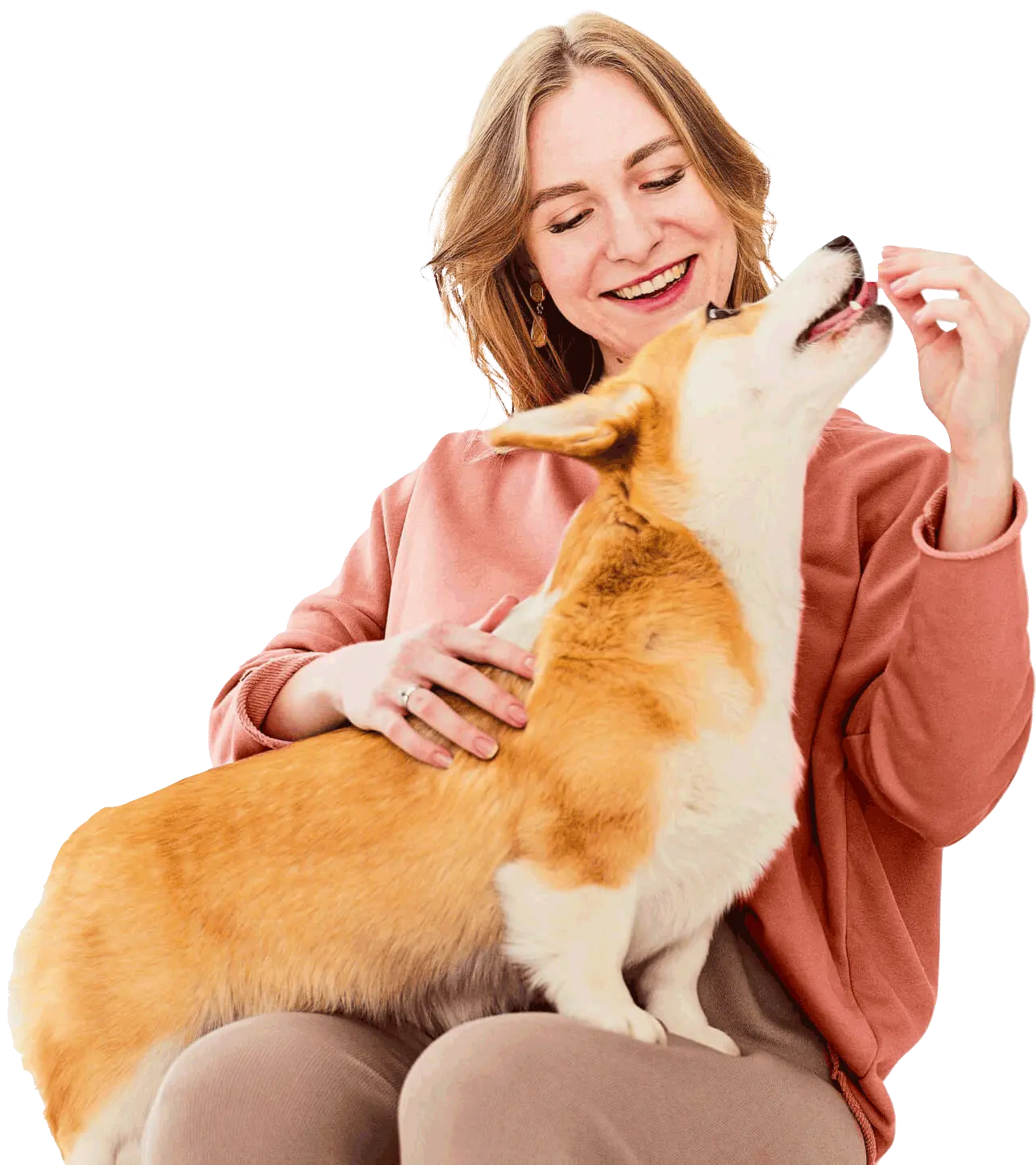 Clínica veterinária Pavan paes | Clínica veterinaria Limeira, oftalmologista veterinaria limeira